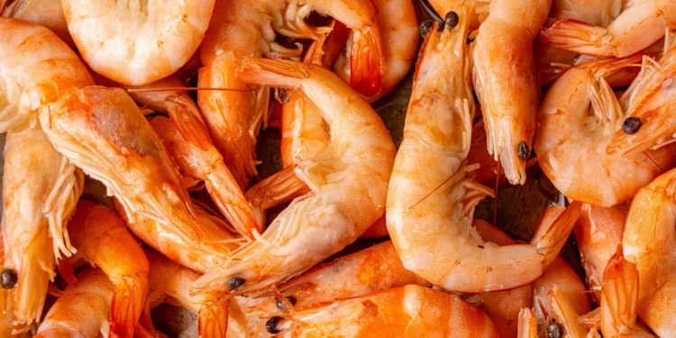 EUA retiram camarão potencialmente radioativo. Era vendido em 13 estados