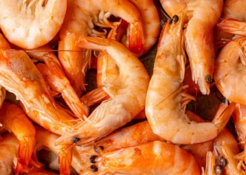 EUA retiram camarão potencialmente radioativo. Era vendido em 13 estados