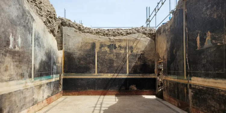 “Monopólio da memória”: Novas provas de reocupação de Pompeia pós-erupção