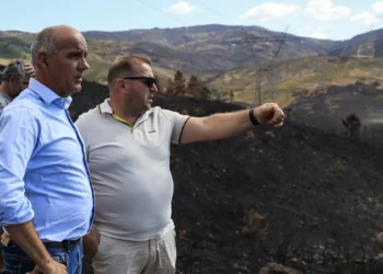 Incêndios. Paulo Raimundo critica pactos entre partidos e lamenta desinvestimento na floresta
