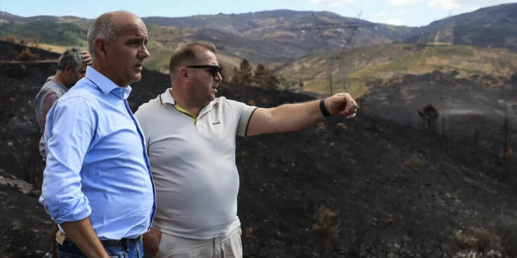 Incêndios. Paulo Raimundo critica pactos entre partidos e lamenta desinvestimento na floresta
