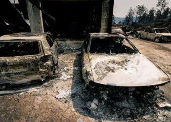 Incêndios. PCP pede reunião extraordinária da Comissão Permanente da AR