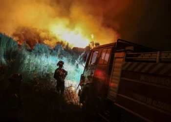 Mêda pede declaração de situação de calamidade por causa do fogo