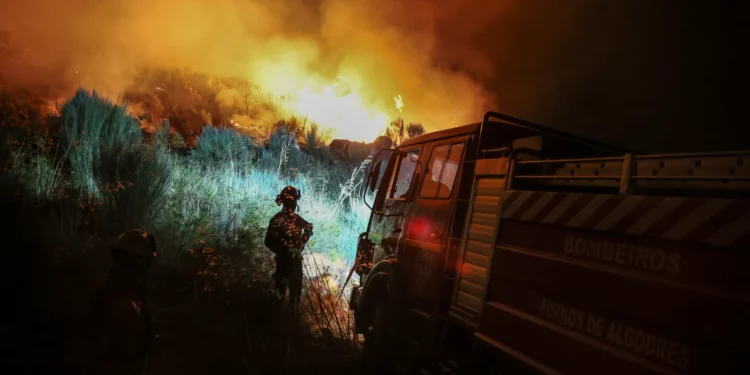 Mêda pede declaração de situação de calamidade por causa do fogo