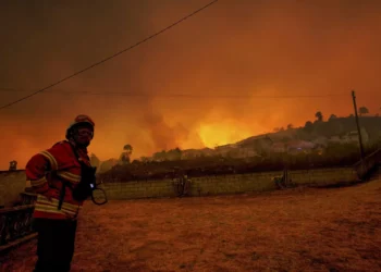Incêndios. IL acusa Governo de responder com paliativos e de falhar na prevenção