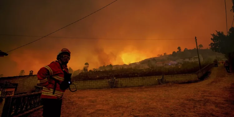 Incêndios. IL acusa Governo de responder com paliativos e de falhar na prevenção