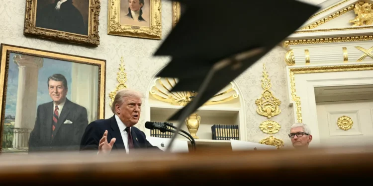 Trump antecipa “boa hipótese” de reunião com Putin e Zelensky “em breve”