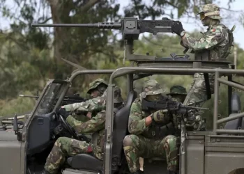 Indústrias de Defesa sentem-se fora do plano do Governo sobre futuro militar