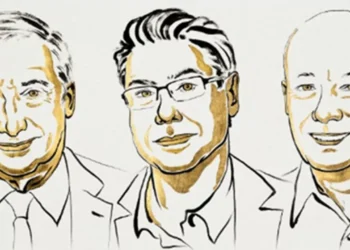 Entrevista: entenda o projeto vencedor do Nobel de Economia 2025