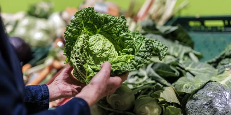 Inflação abranda para 2,2% em novembro