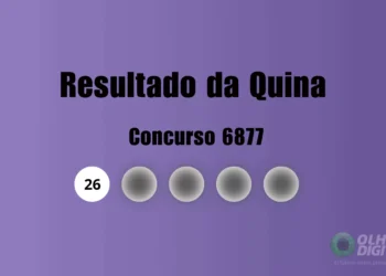 Resultado da Quina de hoje: veja números e ganhadores do concurso 6877 (quarta, 12/11)