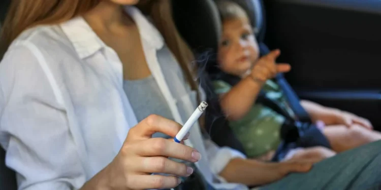 Tesla pode cobrar US$ 150 por vômito ou fumaça em robotáxis