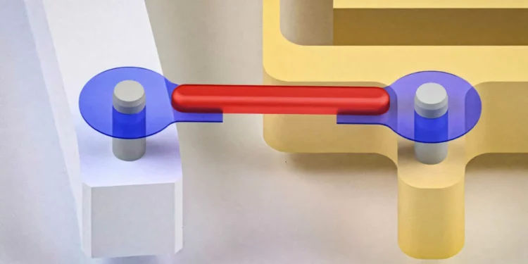 Tendões artificiais revolucionam robôs biohíbridos e ampliam aplicações