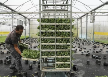 Agricultores vão ter apoio de 15 ME a fundo perdido para investir em renováveis