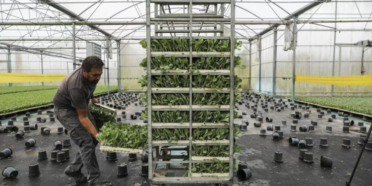 Agricultores vão ter apoio de 15 ME a fundo perdido para investir em renováveis