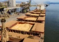 Alta de 28,6% nas exportações para a China compensa tarifaço