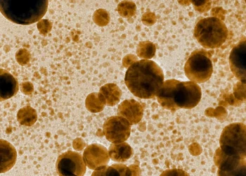 Estudo brasileiro destaca usos médicos e ambientais de nanopartículas