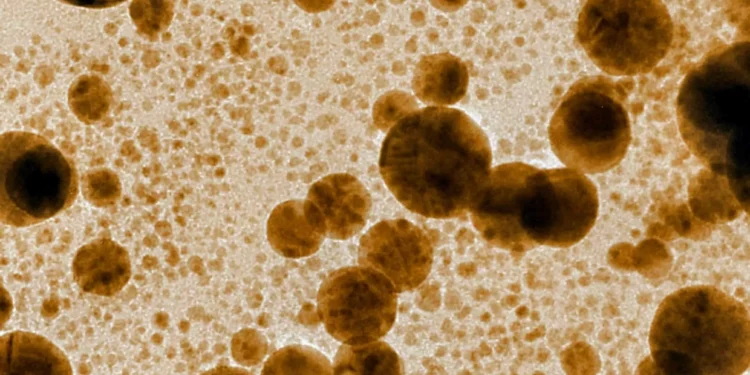 Estudo brasileiro destaca usos médicos e ambientais de nanopartículas