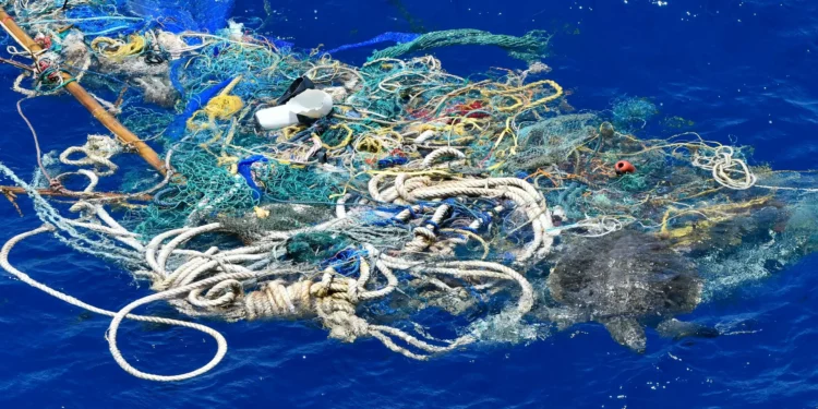 Conheça 8 ameaças que prejudicam os oceanos