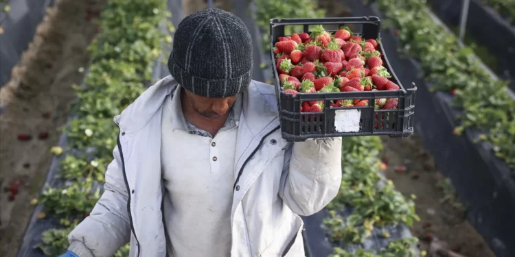Mão de obra imigrante é nove anos mais jovem do que a portuguesa