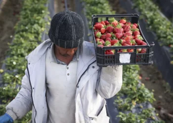Mão de obra imigrante é nove anos mais jovem do que a portuguesa