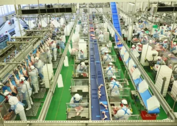 Acordo Mercosul-UE trará ganhos em quase todos os setores do agronegócio