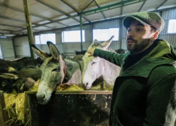 Jorge Pinto quer ver língua mirandesa “na moda” e defende papel do PR na sua promoção