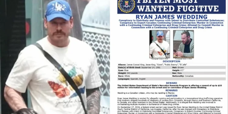 De snowboarder olímpico a barão da droga. Ryan Wedding detido no México