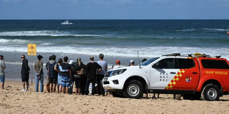 Praias de Sydney interditadas após ataques de tubarão