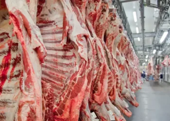 A China subsidiará a produção de carne como fez com a de leite?