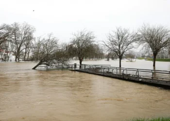 Cheias vão levar a um aumento dos preços da comida e falta de produtos?