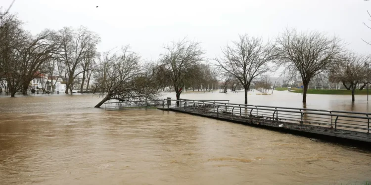 Cheias vão levar a um aumento dos preços da comida e falta de produtos?