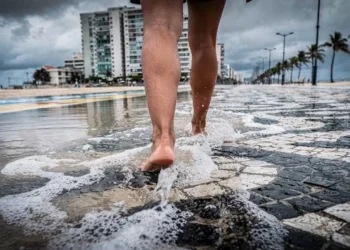 Cidade litorânea se adapta ao aumento do nível do mar com tecnologia