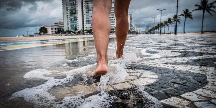 Cidade litorânea se adapta ao aumento do nível do mar com tecnologia