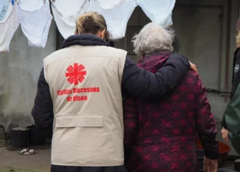 Cáritas já angariou mais de 1 milhão de euros para vítimas do mau tempo