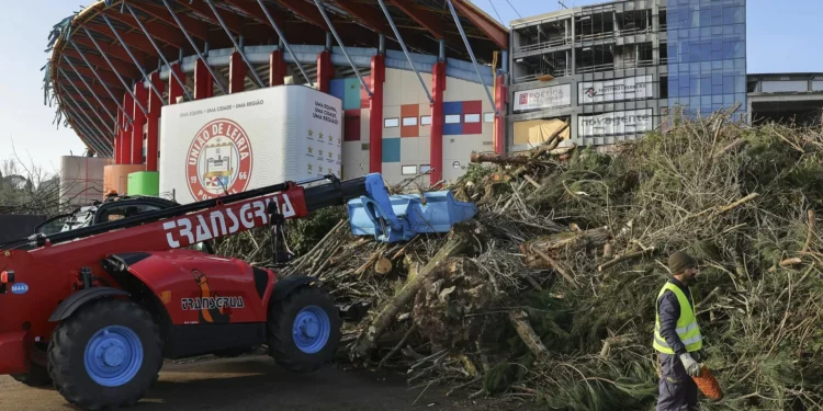 Portugueses são os europeus mais preocupados com catástrofes naturais agravadas pelas alterações climáticas