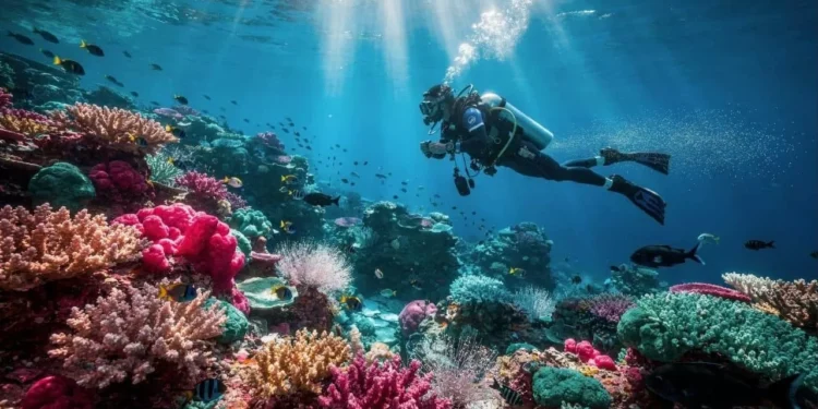 O perfume artificial que os cientistas criaram para salvar os corais de uma praga faminta