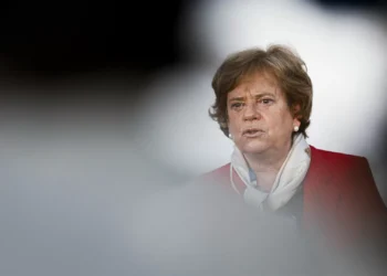 Maria Lúcia Amaral. Sete meses sob fogo cruzado